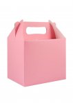 Baby Pink Lunch Boxes