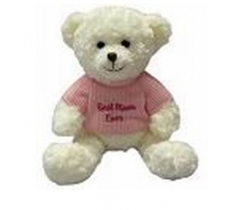 Plush 20cm Bear With Slogan " Bear Hugs "