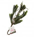 Glittered Mistletoe Hanging Decoration 23.5cm X 10cm