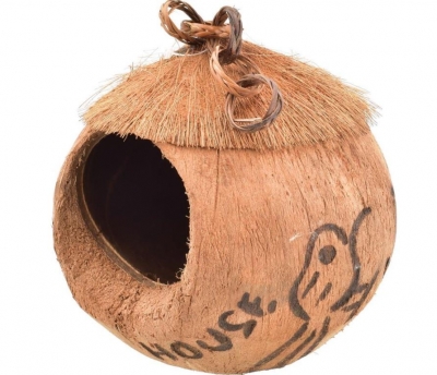 Coconut Bird House