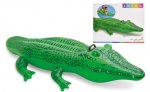 Lil Gator Ride On 66X34" ( 58546Np )