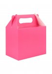 Hot Pink Lunch Boxes