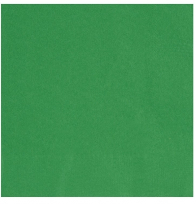 20 Pack Emerald Green Lunch Napkin
