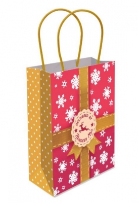 Reindeer Mail Paper Bag With Handles Medium