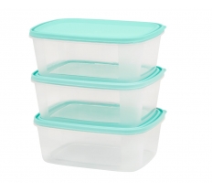 2L Food Box and Lid Clear 3 Pack