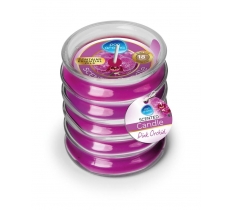 Ribbed Glass Candle Pink Orchid 120g