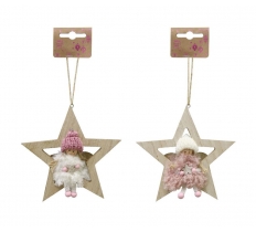 Hanging Fairy On Star ( Assorted Design )