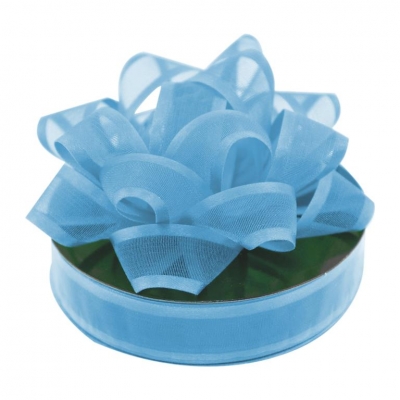 Organza Ribbon Blue