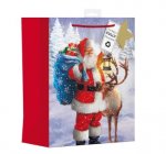 Traditional Outdoor Santa Large Bag