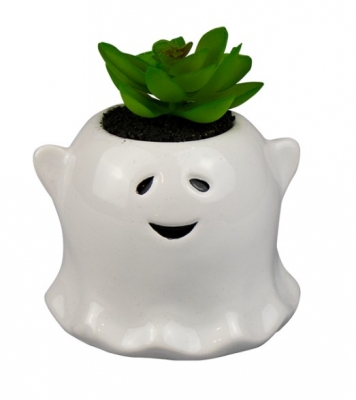 Halloween Ghost with Succulent 9cm