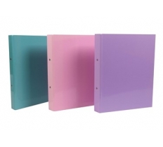 A4 2 Ring binder Teal Pink & Purple Rigid car