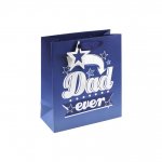 Best Dad Ever Medium Gift Bag