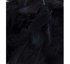 Eleganza Feathers Mixed Sizes 3"-5" 50G Bag Black No.20