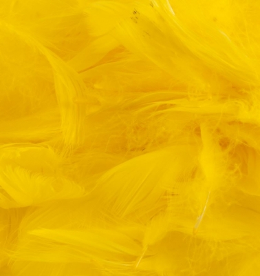 Eleganza Feathers Mixed Sizes 3Inch-5Inch 50G Bag Yellow