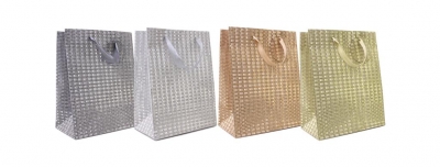 Gift Bag Glitter Medium 18 X 23 X 10cm ( Assorted )