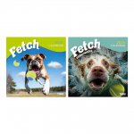 2025 Calendar Sq Fetch