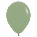 Sempertex 12" Eucalyptus Latex Balloon 50 Pack