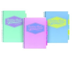 Pukka Pastel Project Book A4 ( Assorted Colours )