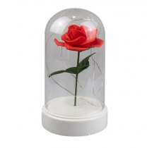 Valentines Day Led Rose Cloche 19cm