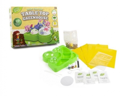 Grow & Decorate Your Own Table Top Greenhouse