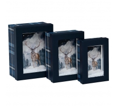 Christmas Set of 3 Window Box Caledonia