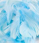 Eleganza Feathers Mixed Sizes 3"-5" 50G Bag Light Blue No25