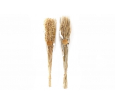 90cm Avana Dried Grass Bouquet