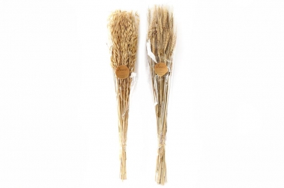 90cm Avana Dried Grass Bouquet