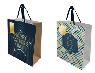 Father's Day Large Gift Bag