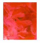 Eleganza Feathers Mixed Sizes 3"-5" 50G Bag Red No.16