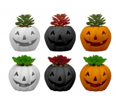 Halloween LED Pumpkin with Succulent 10cm