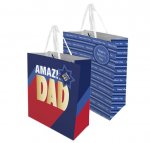 Fathers Day Large Gift Bag