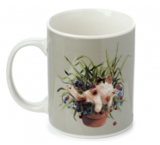 Kim Haskins Cat In A Plant Pot Green Porcelain Mug