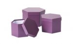 Hexagonal Hat Boxes Berry Set of 3