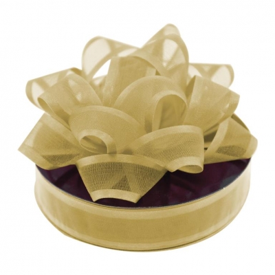 Organza Ribbon Gold