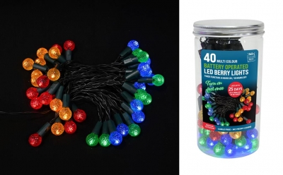 Timer Led Berry Lights 40 In Jar Multi