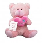 MOTHER'S DAY PLUSH TEDDY 30CM