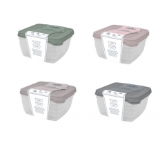 Natural Plastic Container 2pk