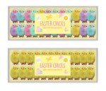 Easter Chicks 24pk