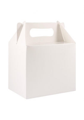 White Lunch Boxes ( Medium )