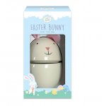 Paint Your Own Bunny Decoration