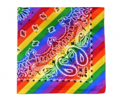 Rainbow Pride Patterned Bandana (55cm x 53cm)