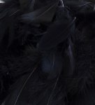 Eleganza Feathers Mixed Sizes 3"-5" 50G Bag Black No.20