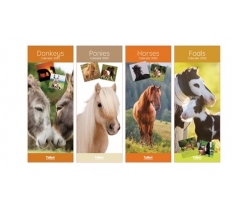 2025 Calendar Super Slim Donkey,Foal,Horse, Pony