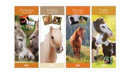 2025 Calendar Super Slim Donkey,Foal,Horse, Pony