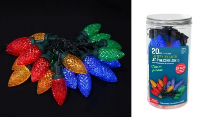 Timer Led Pinecone Lights 20 In Jar Multi