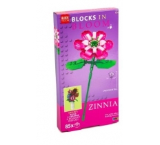 Blocks In Bloom Zinnia