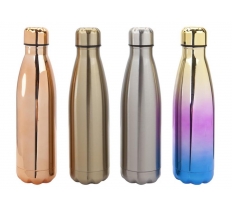 Stainless Steel Double Wall Drinking Bottle 500ml