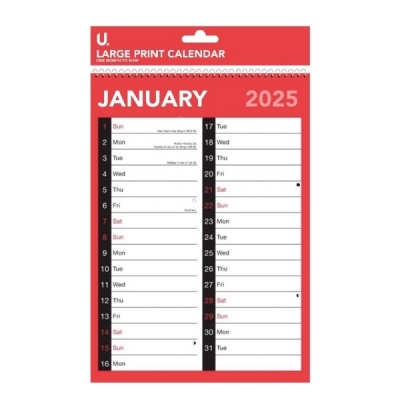 2025 Red & Black A4 Easy View Calendar