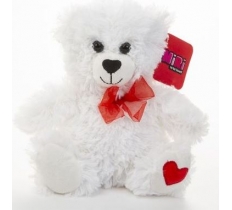 20cm Valentines Bear White